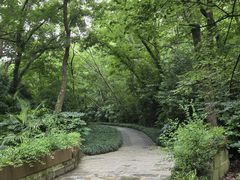 -头陀岭景区