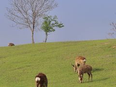 -良渚古城遗址公园
