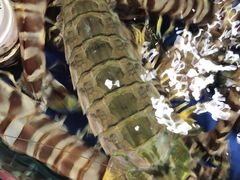 -江杨农产品批发市场