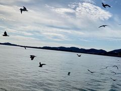 -海驴岛(荣成市)