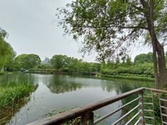 -郑州植物园