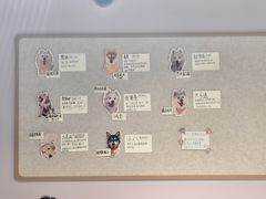 -毛绒耶耶撸宠馆·猫咖·狗咖·荷兰猪咖
