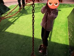 -中国福利会少年宫