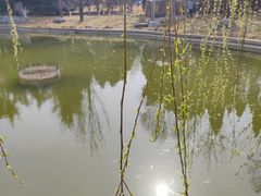 -济南南郊宾馆