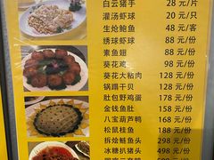 -丁老爷子苏香圆
