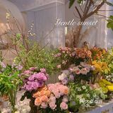 进书店👀赏💐园🔚最后竟是🍽