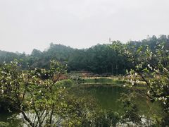 -南国桃园旅游度假区