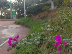 -火炉山森林公园