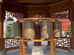 -上海东林寺(金山区)