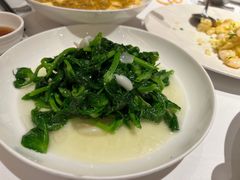 酒香豆苗-老吉士(环贸iapm店)