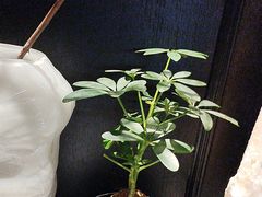 -逸馥荟(人广来福士店)