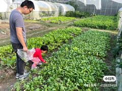 -前小桔亲子创意农场·草莓采摘·露营烧烤