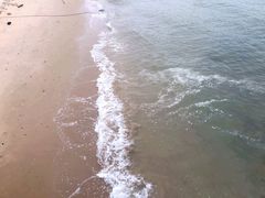 -海堤纪念公园