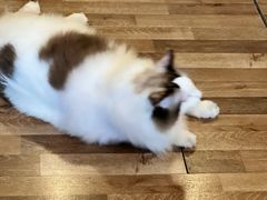 -In Cafe隐食研室