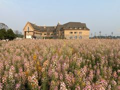 -中国天府农业博览园