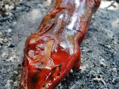 -黄记四更烤乳猪店