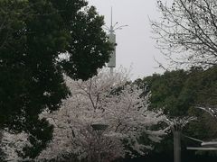 -玉山公园