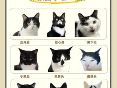 -申普宠物医院·眼科·心内科·影像科(普陀分院)