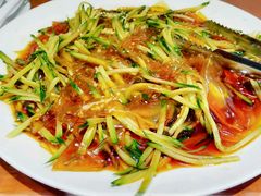 拉皮-东北人粗粮饺子坊(南山店)