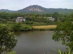 -瑶湖郊野森林公园