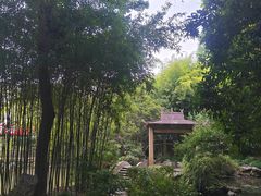 -汇龙潭