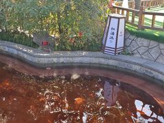 -杭州第一世界大酒店·云曼温泉