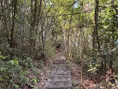 -火炉山森林公园