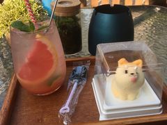 -柴犬高等学院·狗咖·柴犬售卖·宠物训练