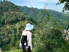 -午潮山国家森林公园