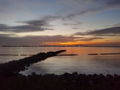 -芒洲湿地公园