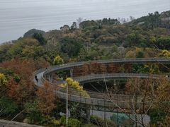 -福道
