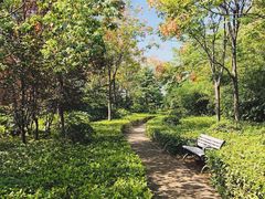 -幸福蓝海国际影城(河西店)