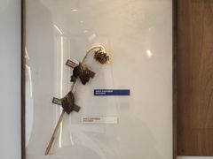 -稀物集咖啡(徽州大道店)
