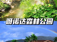 -呀诺达热带雨林