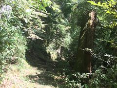 -东天目山风景区