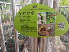 -广州神农草堂中医药博物馆