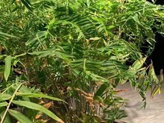 -万象影城(深圳湾万象城旗舰店)