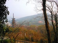 -上海佘山国家森林公园西佘山园