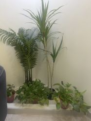 点击看大图 -VE专注问题肌·赛诺龙&科学美肤中心