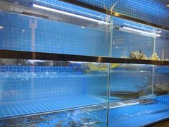 -椰子湾·海南火锅·糟粕醋·椰子鸡(正大广场店)