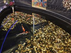 -大桶大足浴(瞿溪路店)