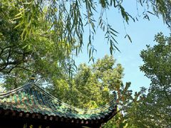 -月湖风景区
