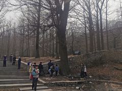 -阳台山自然风景区