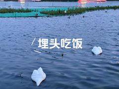 -沿途四季·云南菜·诗酒茶(蓝色港湾店)