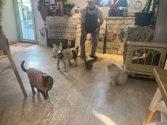 -小时光咖啡馆(北锣鼓巷店)