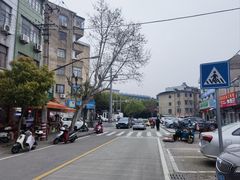 -张记饺饼筒(环城东路店)