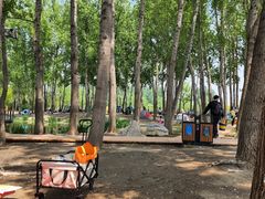 -东郊湿地公园