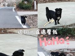 -南京金牛湖风景区