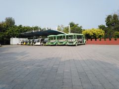 -金鸡山公园