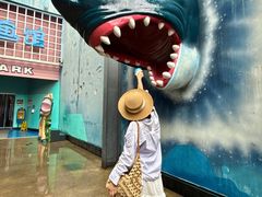 -海合安成都极地海洋公园